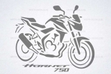 Sticker Motiv Honda Hornet 750